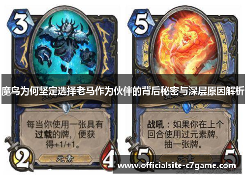 魔鸟为何坚定选择老马作为伙伴的背后秘密与深层原因解析