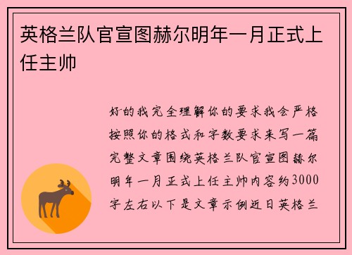 英格兰队官宣图赫尔明年一月正式上任主帅